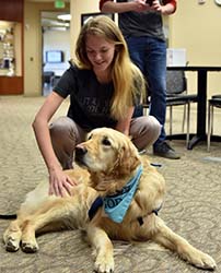 Students take time to "paws" and relax during Northeast's finals week